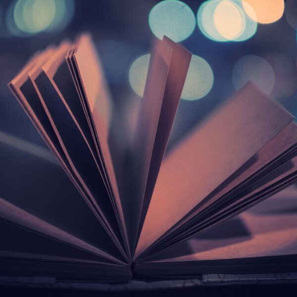 ISRGJAVS Volume II Issue I January February 2025 ISRG PUBLISHERS isrgjavs-volume-ii-issue-i-january-february-2025-isrg-publishers